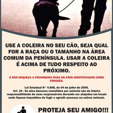 Cão na coleira