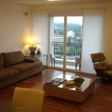 Cuidados simples ajudam a evitar infestações de cupins dentro de casa