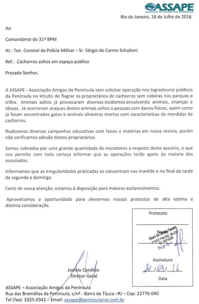 ago_cachorro_solto_c