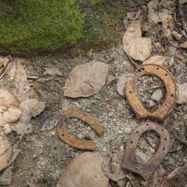 Vestígios arqueológicos revelam uma Barra do período colonial